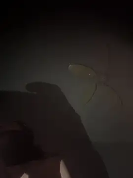 Snapshot of mylovebb chatting on 6, 1, 2026 mylovebb online show from 6, 1, 2026