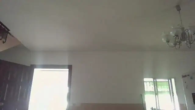 Snapshot of llopaco chatting on 20, 6, 2026 llopaco online show from 20, 6, 2026