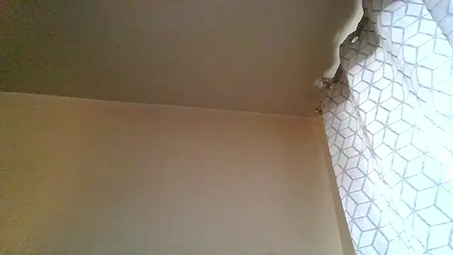 guccititi online show from 20, 11, 2025