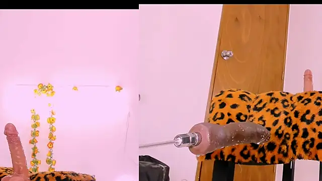 Karol Rossee online show from 26, 2, 2025