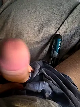 Toradinho online show from 17, 11, 2025