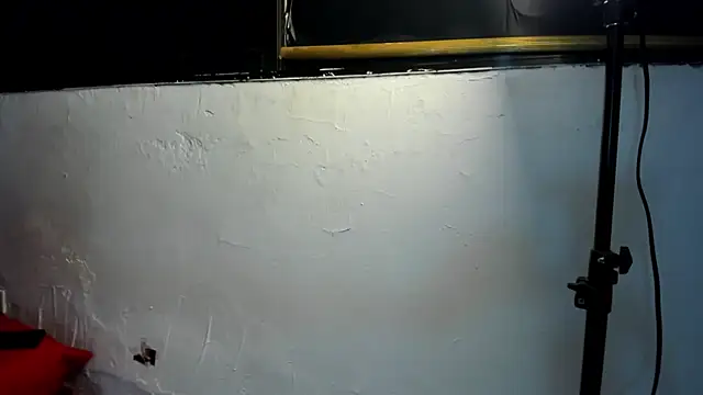 couple hotfox online show from 22, 12, 2025