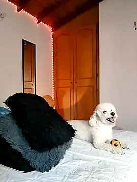 morenosiam online show from 23, 11, 2025