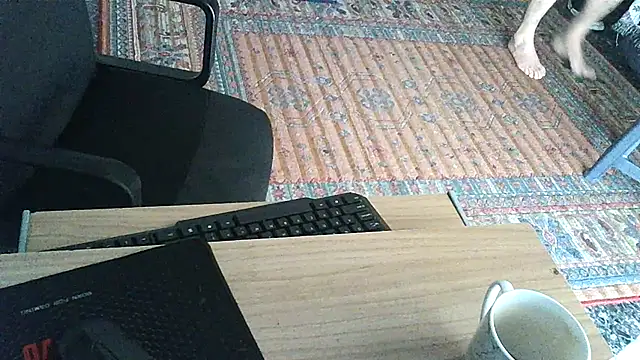 Snapshot of Openmind_42 chatting on 12, 3, 2025 Openmind 42 online show from 12, 3, 2025