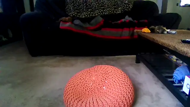 mrstoxox4594 online show from 2, 8, 2026
