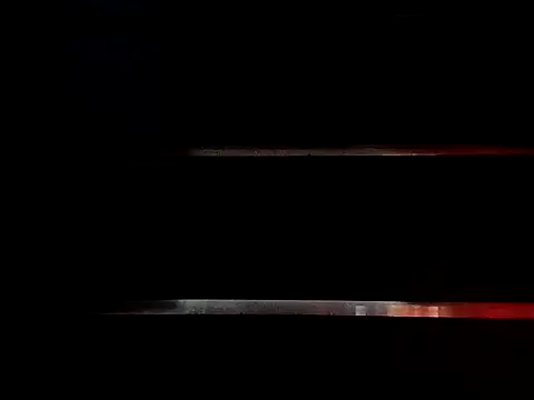 wetnwildforyou online show from 17, 12, 2025