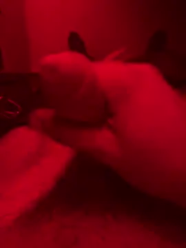 Snapshot of ruchacz24 chatting on 14, 10, 2025 ruchacz24 online show from 14, 10, 2025