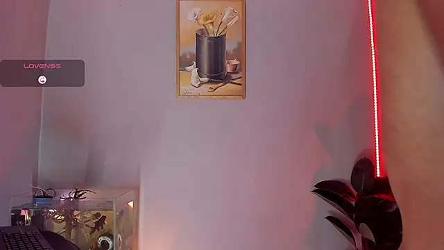 Snapshot of CRAZY-BOY99 chatting on 31, 10, 2025 CRAZY-BOY99 online show from 31, 10, 2025