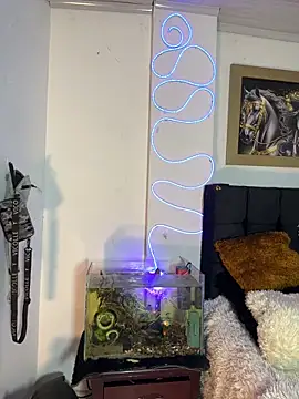 Snapshot of CRAZY-BOY99 chatting on 16, 12, 2025 CRAZY-BOY99 online show from 16, 12, 2025