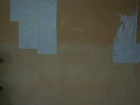 mayra89 online show from 28, 7, 2026