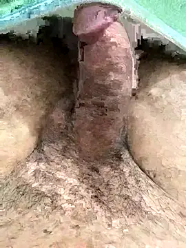 Snapshot of Iliase chatting on 15, 11, 2025 Iliase online show from 15, 11, 2025