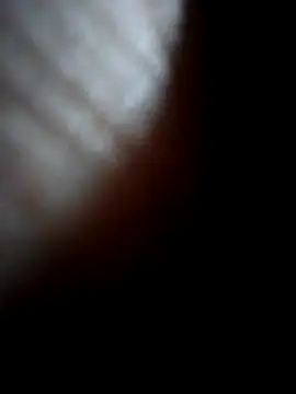 Sandra42 online show from 21, 12, 2025