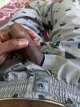 Tn localboy69 online show from 29, 9, 2025