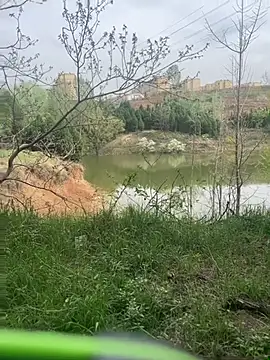 Snapshot of shaovu chatting on 6, 4, 2026 shaovu online show from 6, 4, 2026