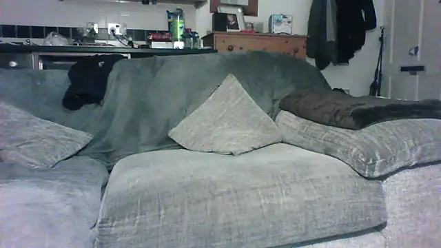 Grower and shower online show from 30, 11, 2025