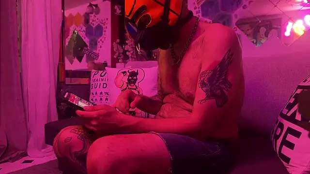 Snapshot of danix_wild_wolf chatting on 2, 6, 2026 danix wild wolf online show from 2, 6, 2026
