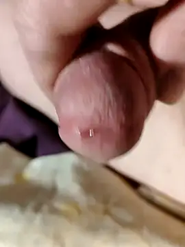 Snapshot of --Serhei-- chatting on 6, 2, 2026 --Serhei-- online show from 6, 2, 2026