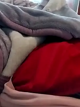 Thakgiey online show from 16, 3, 2026