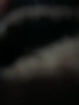 HARSHHU01 online show from 17, 3, 2025