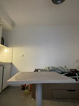 Renoirmonter online show from 15, 1, 2026