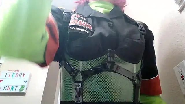 Harley cams online show from 16, 3, 2025