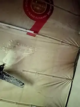 Snapshot of adrija94 chatting on 22, 11, 2025 adrija94 online show from 22, 11, 2025