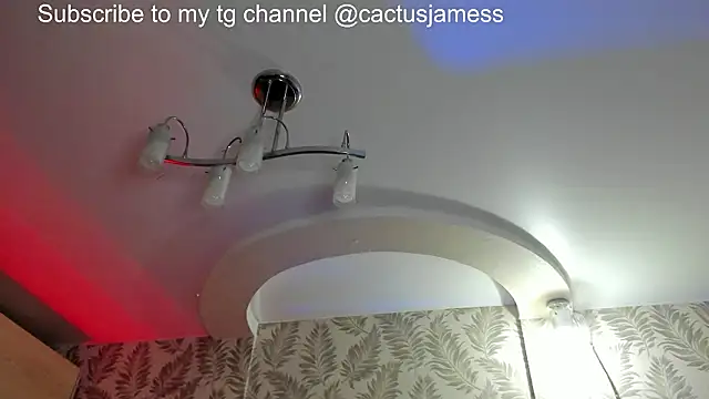 Cactus  James online show from 21, 2, 2026