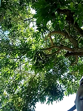 Snapshot of perversumm chatting on 21, 9, 2025 perversumm online show from 21, 9, 2025