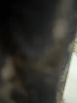 Snapshot of dilu98 chatting on 21, 2, 2026 dilu98 online show from 21, 2, 2026