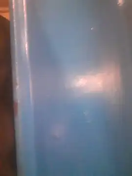 Wildbeastt online show from 13, 10, 2025