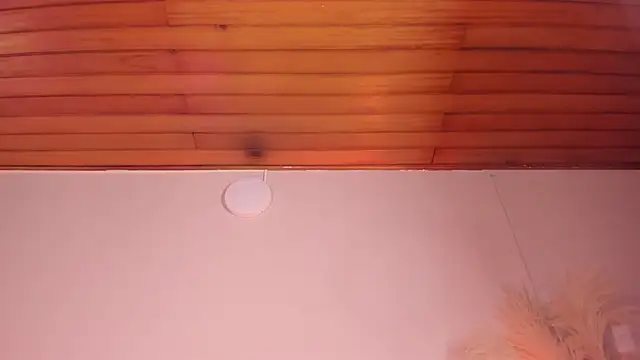 Snapshot of viol_collins__ chatting on 22, 3, 2025 viol collins   online show from 22, 3, 2025