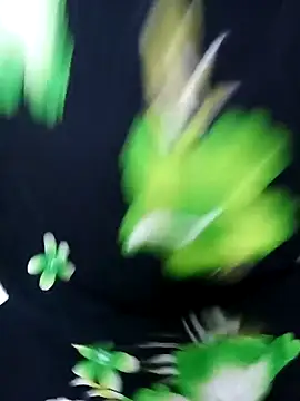 Snapshot of tamiltady chatting on 12, 9, 2025 tamiltady online show from 12, 9, 2025