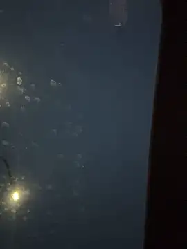 Snapshot of Eriksson00 chatting on 19, 12, 2025 Eriksson00 online show from 19, 12, 2025