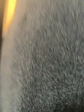 xiaoyuan01 online show from 9, 3, 2026