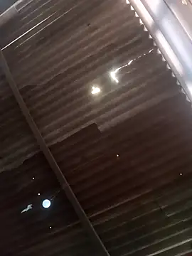 Snapshot of srtsara chatting on 20, 2, 2026 srtsara online show from 20, 2, 2026