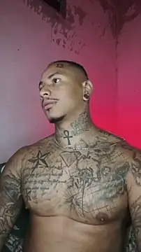 Snapshot of David_tatto1 chatting on 14, 2, 2026 David tatto1 online show from 14, 2, 2026