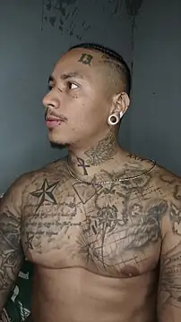 Snapshot of David_tatto1 chatting on 13, 3, 2026 David tatto1 online show from 13, 3, 2026