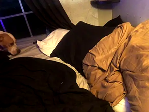 lilthicky352 online show from 1, 12, 2025