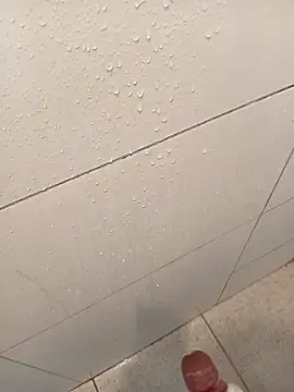 Luan 11839 online show from 13, 12, 2025