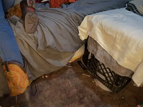 Snapshot of HodgeVibes chatting on 1, 3, 2026 HodgeVibes online show from 1, 3, 2026