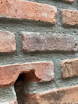 Jacksonfranco online show from 11, 2, 2026