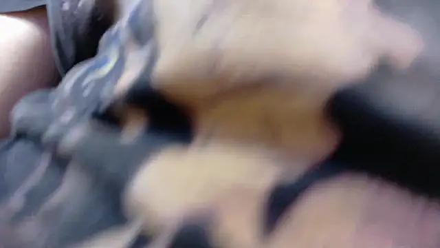 Witch Scarlet online show from 25, 3, 2026