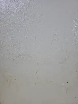 Snapshot of titooritax chatting on 16, 10, 2025 titooritax online show from 16, 10, 2025