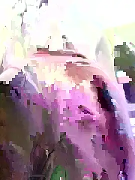 agusttt2667 online show from 12, 1, 2026