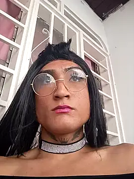translatina777 online show from 11, 2, 2026
