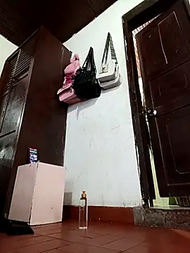 translatina777 online show from 7, 3, 2026