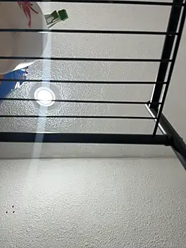 Snapshot of Nia_Desire chatting on 17, 12, 2025 Nia Desire online show from 17, 12, 2025