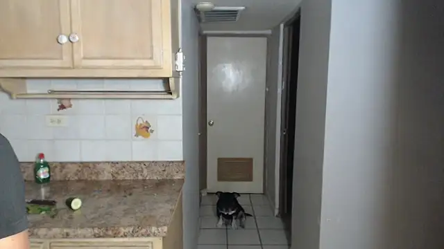 Snapshot of BlondZilla chatting on 17, 11, 2025 BlondZilla online show from 17, 11, 2025