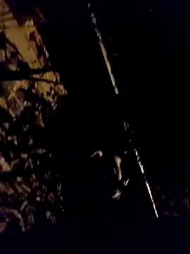 Snapshot of Ridick2025 chatting on 11, 4, 2026 Ridick2025 online show from 11, 4, 2026