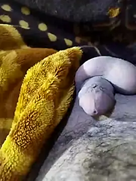 Snapshot of ADAM50001 chatting on 2, 4, 2026 ADAM50001 online show from 2, 4, 2026